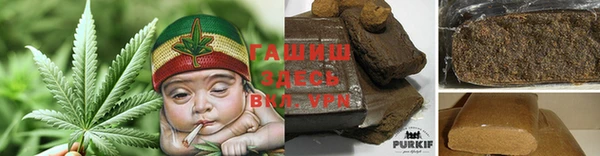 винт Инта