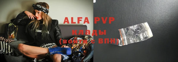 гидра Инсар
