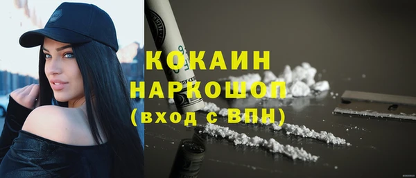 гидра Инсар