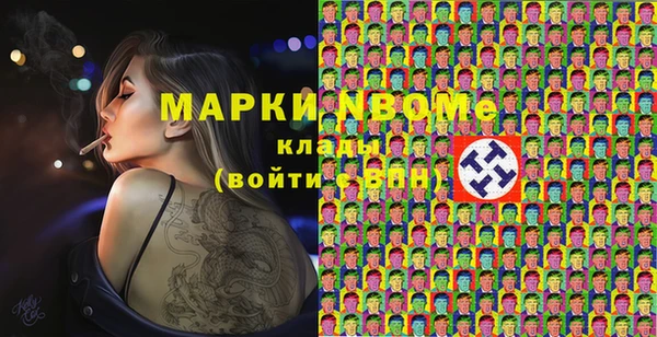гидра Инсар