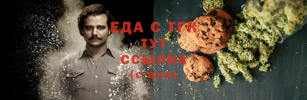 гидра Инсар