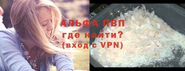 гидра Инсар