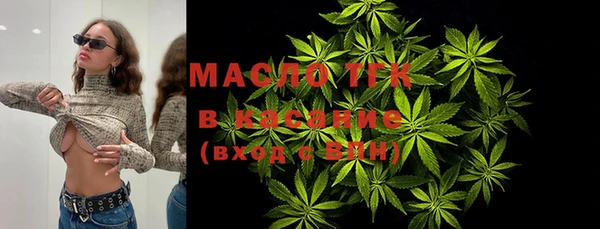гидра Инсар