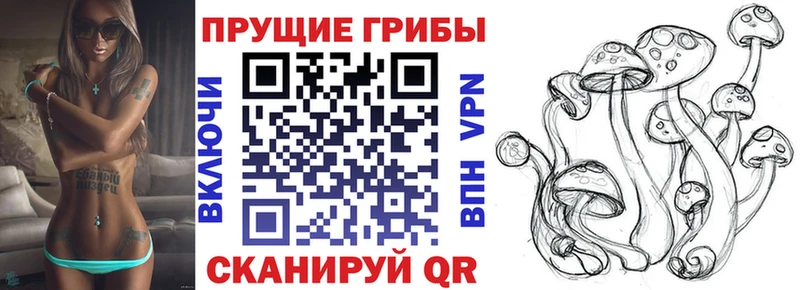 Купить закладки  Гаджиево  Псилоцибиновые грибы MAGIC MUSHROOMS 
